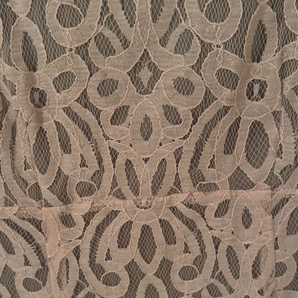 Rabbit Rabbit Rabbit Pink Lace Dress - Picture 3 of 6